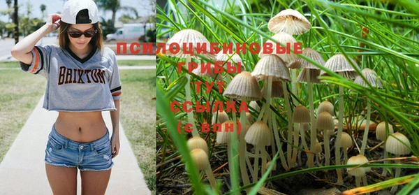 экстази Абаза